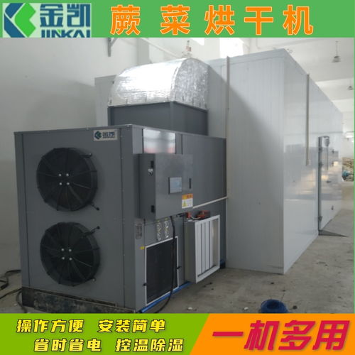 【蕨菜烘干機(jī)蔬菜烘干機(jī)果蔬烘干機(jī)空氣能烘干房】- 