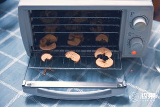 360°烘干，原汁原味即刻享用 金正家用食品水果烘干機(jī)全體驗(yàn)